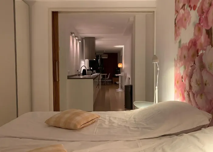 De Ontdekking Apartman *