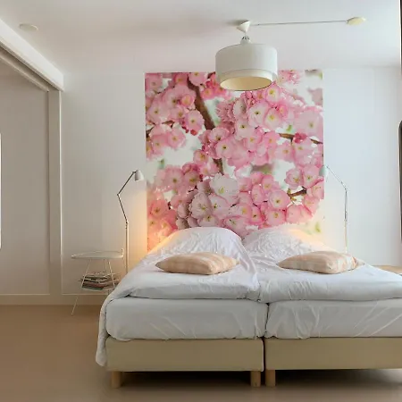 De Ontdekking Apartman